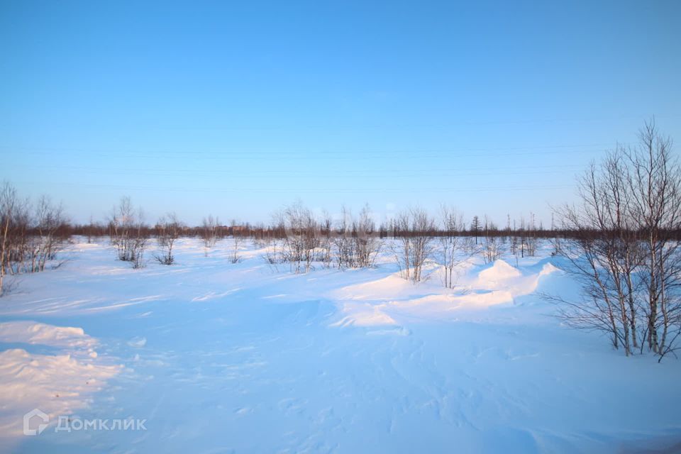 земля городской округ Новый Уренгой, товарищество собственников недвижимости Сатурн, Родная улица, 7 фото 2