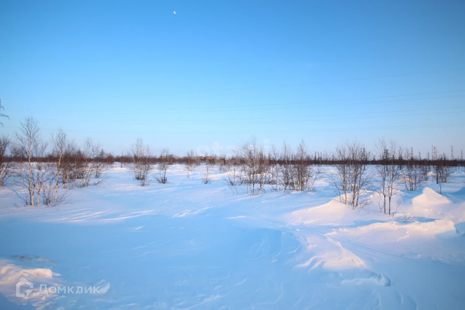 земля городской округ Новый Уренгой, товарищество собственников недвижимости Сатурн, Родная улица, 7 фото 6