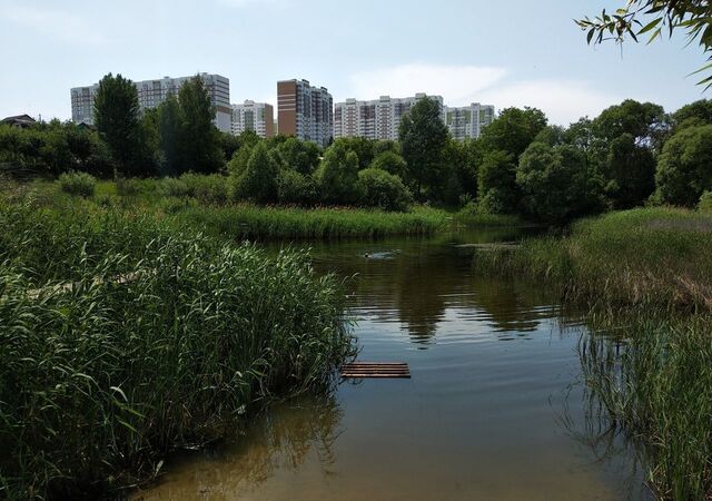 снт Фестивальное Пашковский сельсовет, 274, Курск фото