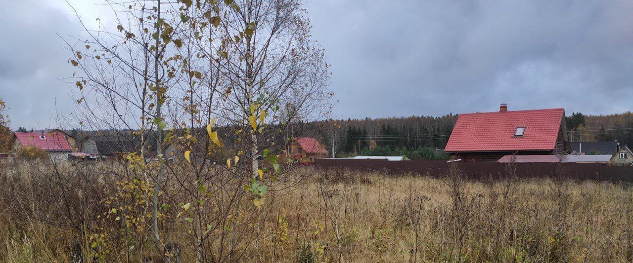 земля городской округ Солнечногорск д Вельево снт 50 лет Победы 30, Солнечногорск фото 4