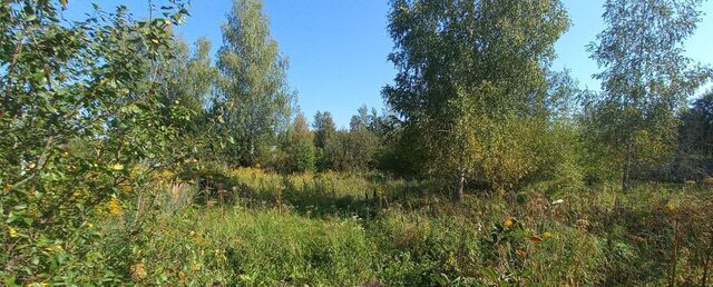 земля проезд 10-й Лесной Нетьинское сельское поселение, Брянск фото