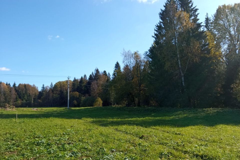 земля городской округ Истра квартал дачной застройки Давыдково новое фото 6