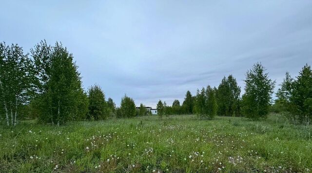 земля Барышевский сельсовет, ТСН, Светлое фото