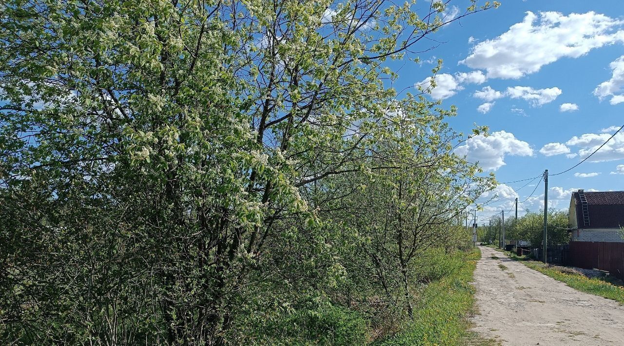 земля р-н Новгородский с/п Ермолинское Веряжский-2 садоводческий массив фото 2