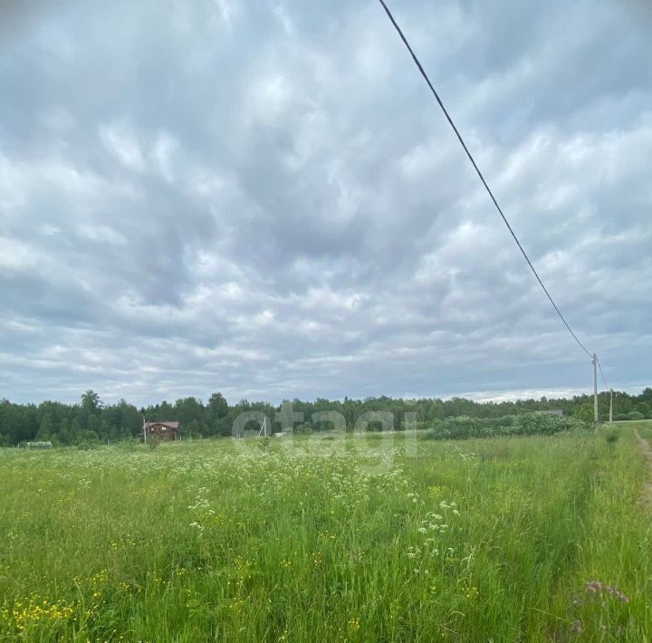 земля городской округ Талдомский д Ольховик фото 2