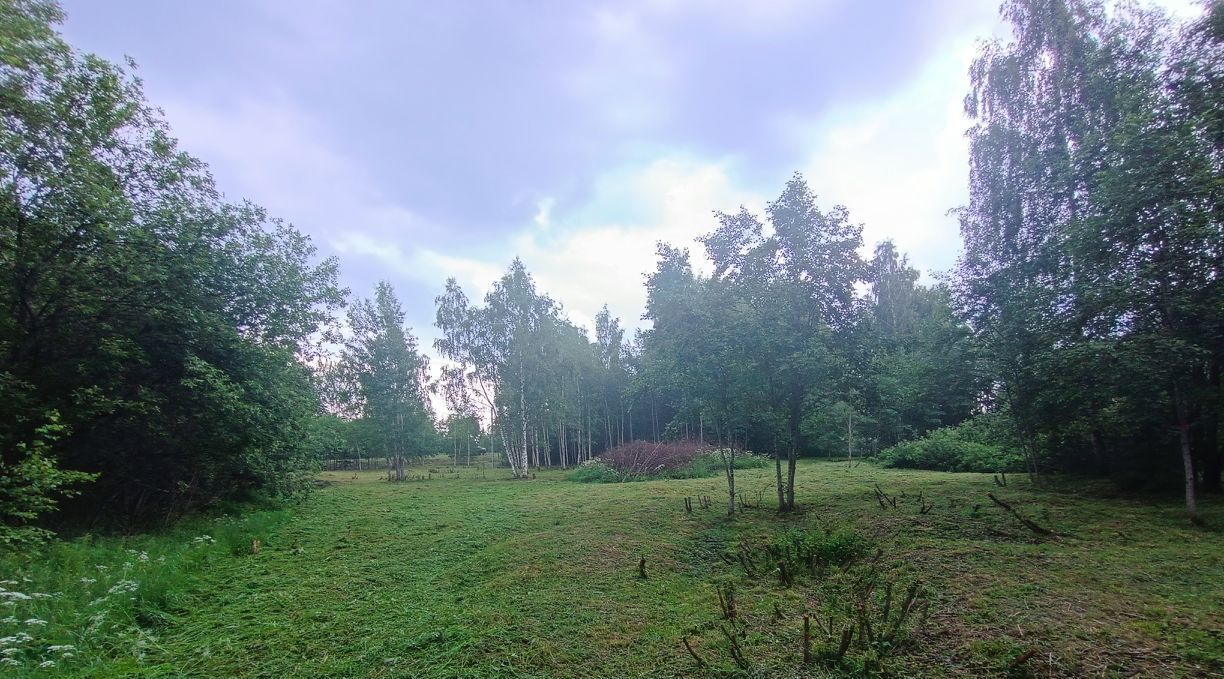 земля р-н Переславский д Вашутино Переславль-Залесский городской округ фото 4