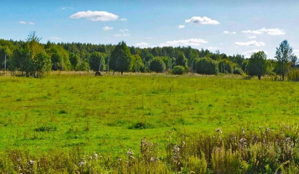 земля городской округ Дмитровский коттеджный поселок «Сорочаны» городской округ Клин фото 5