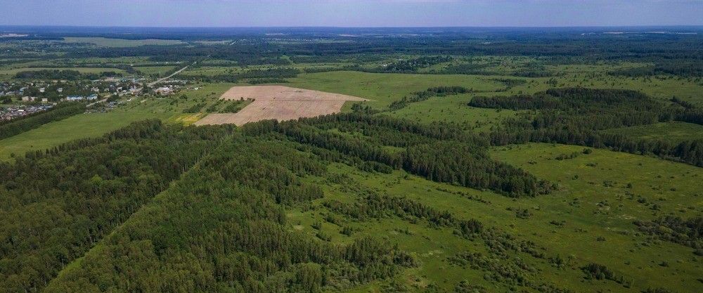 земля городской округ Можайский д Семейники 46 фото 13