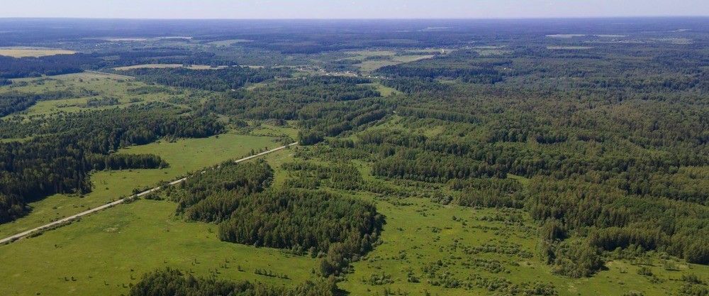 земля городской округ Можайский д Семейники 46 фото 14