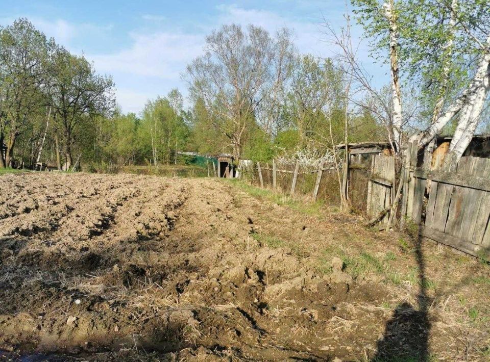 земля р-н Хабаровский с Дружба ул Школьная фото 5