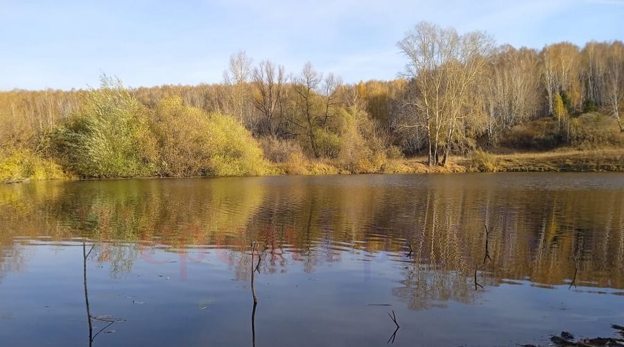 дом р-н Новосибирский тер. ДНТ Каменский оазис Каменский сельсовет фото 17