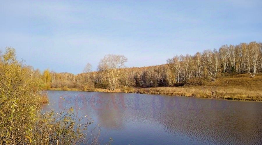 дом р-н Новосибирский тер. ДНТ Каменский оазис Каменский сельсовет фото 16