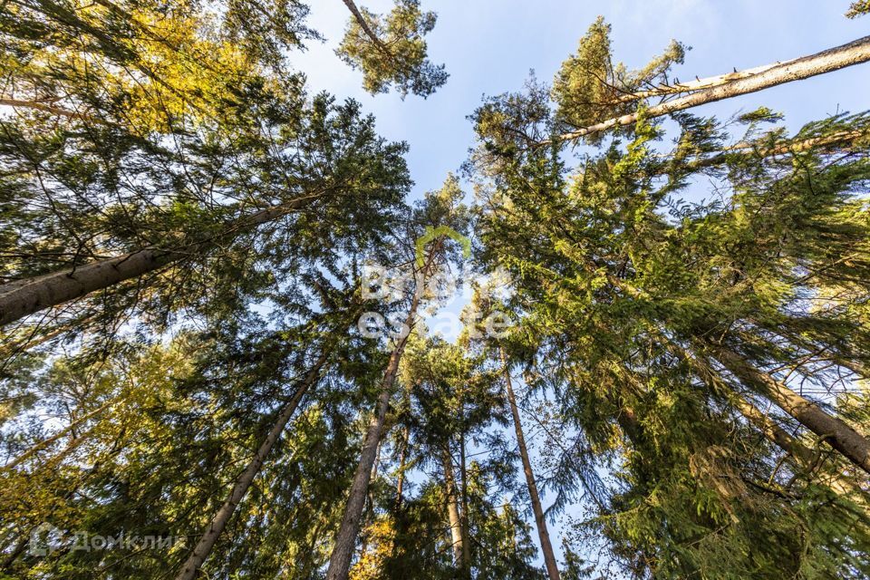 дом городской округ Красногорск садоводческое некоммерческое товарищество Зелёный Ветер-1 фото 4