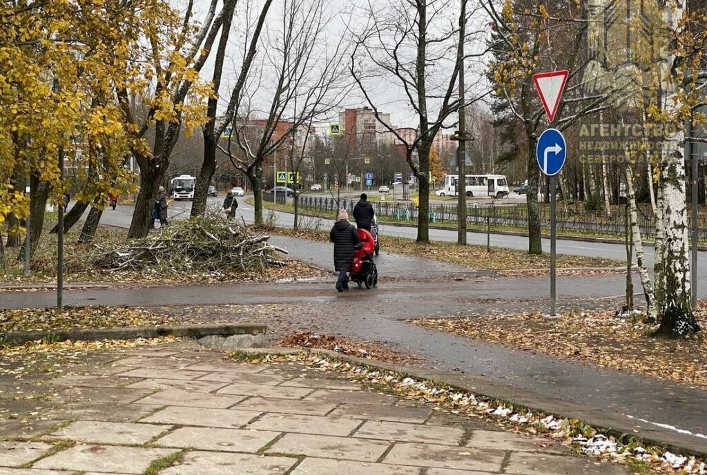 свободного назначения г Сосновый Бор ул Красных Фортов 49 фото 12