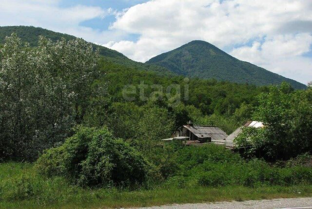 тер. ДНТ Океан фото