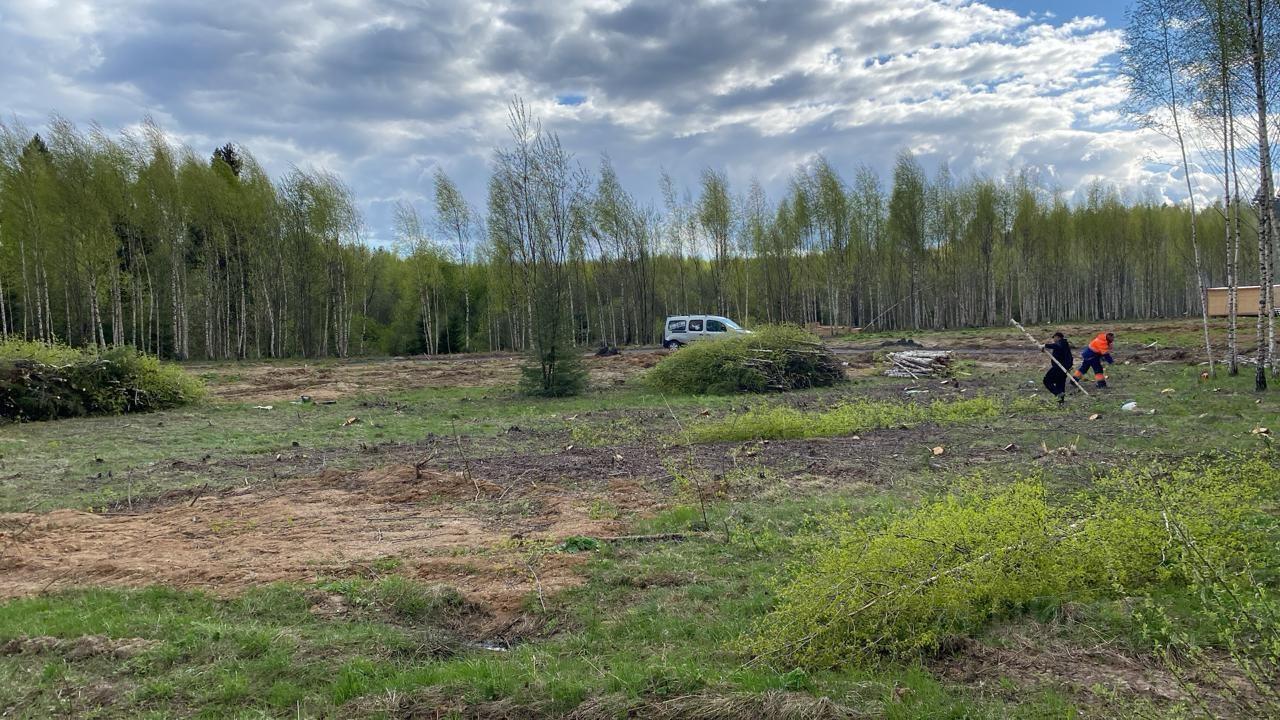 земля направление Савеловское (север) ш Рогачевское Дмитровский городской округ, Рождествено фото 2