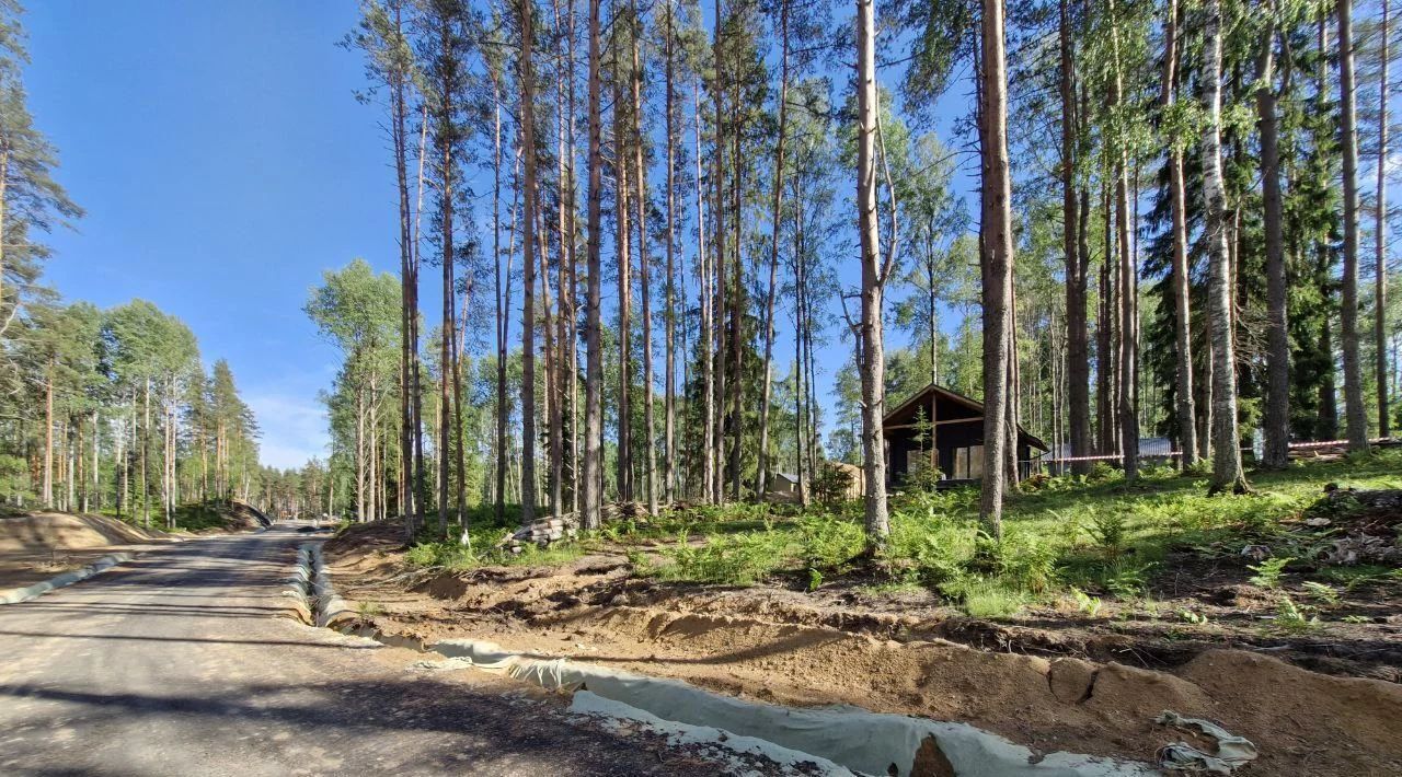 земля р-н Всеволожский Куйвозовское с/пос, Лесное озеро кп, ул. Центральная фото 6