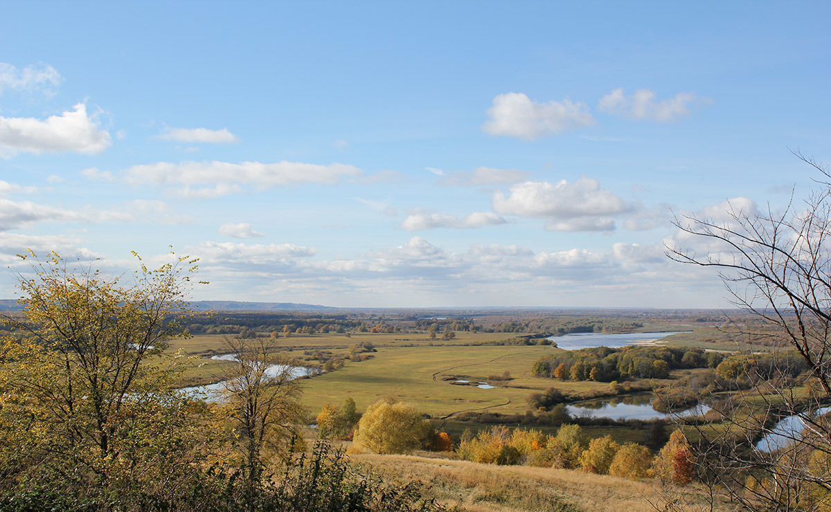 земля р-н Богородский д Подъяблонное Дзержинск фото 5