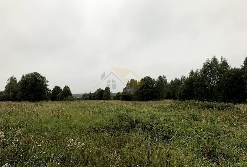 земля городской округ Талдомский д Береговское Талдом фото 6