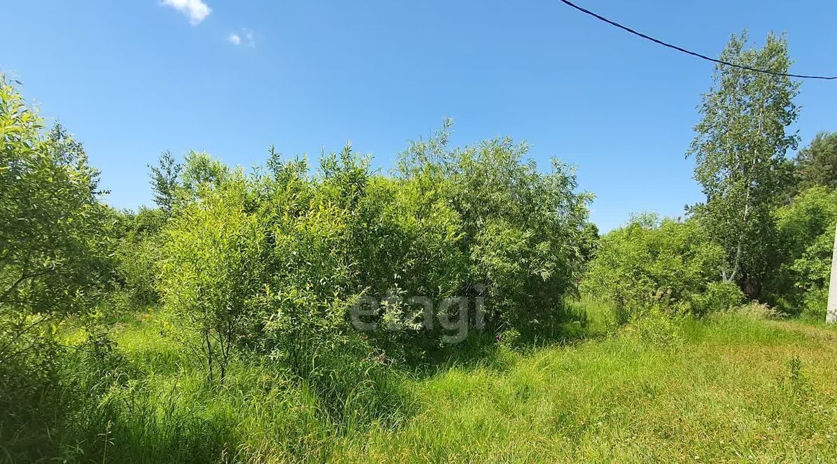 земля р-н Смидовичский п Приамурский ул Хабаровская фото 3