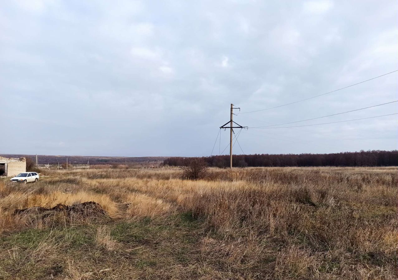 земля р-н Челно-Вершинский с Красная Багана ул Школьная Респ Татарстан, Черемшан фото 15