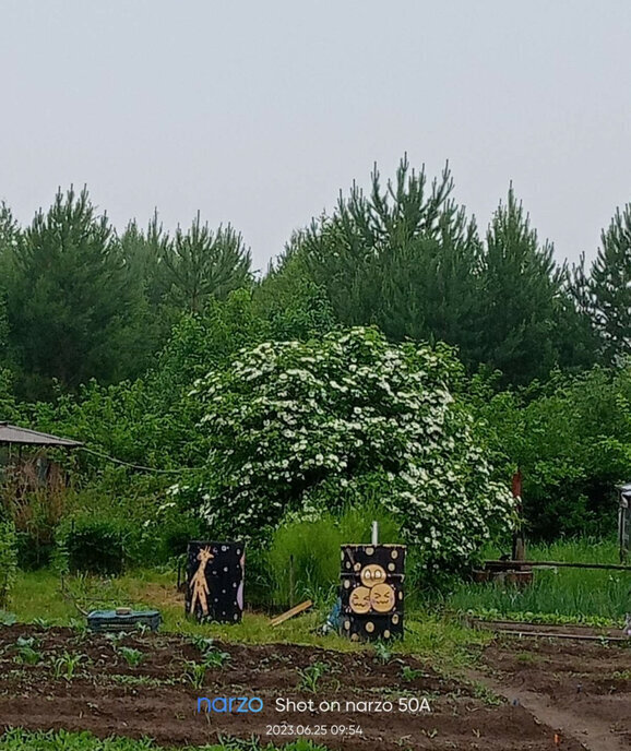 дом р-н Усольский д Большежилкина Большееланское муниципальное образование фото 8