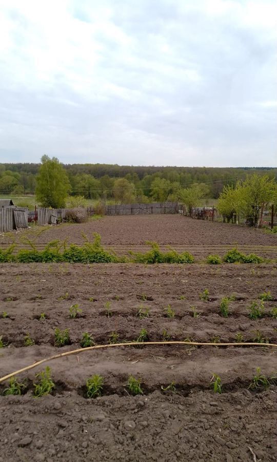 земля р-н Суворовский г Чекалин Северо-Западное, сельский пос. Курорт Краинка, муниципальное образование фото 5