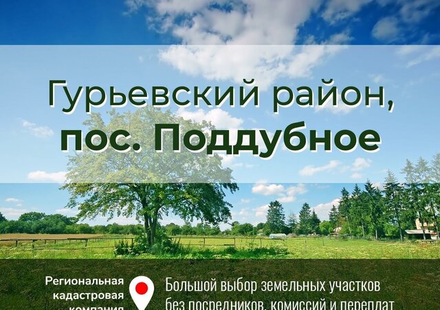 Новомосковское сельское поселение, Лесная ул, Калининград фото