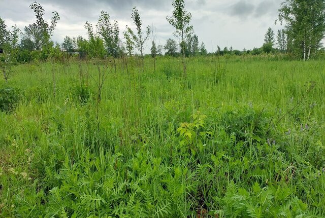 земля ул Огородная Ивняковское сельское поселение фото