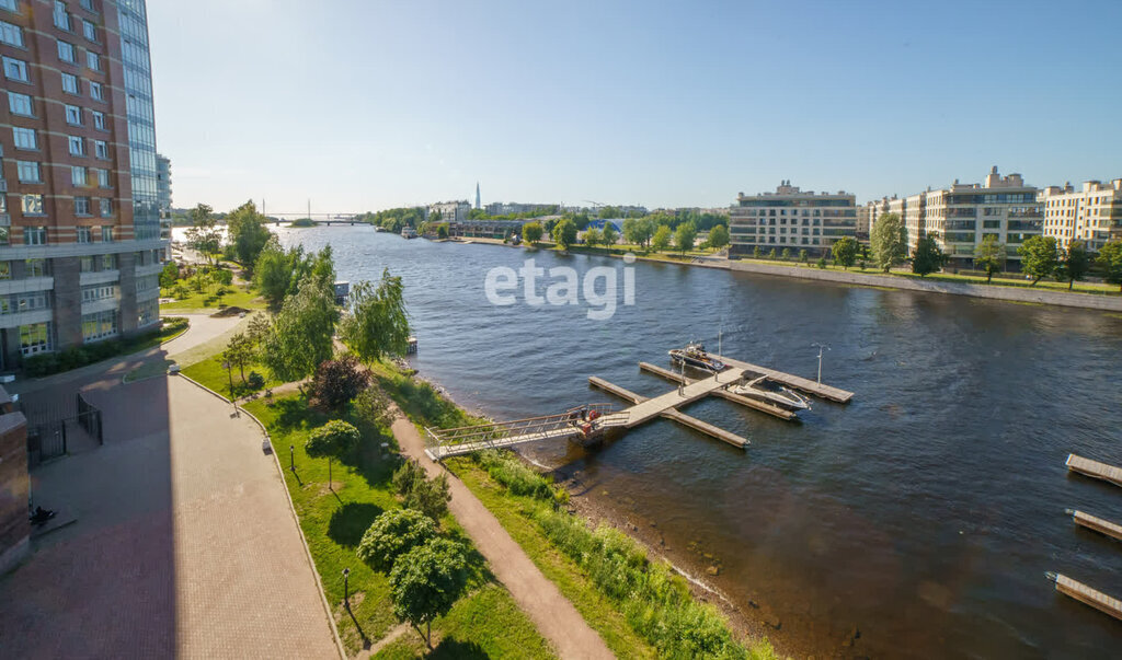 квартира г Санкт-Петербург метро Чкаловская ул Пионерская 50 ЖК «Премьер Палас» Петроградка фото 13