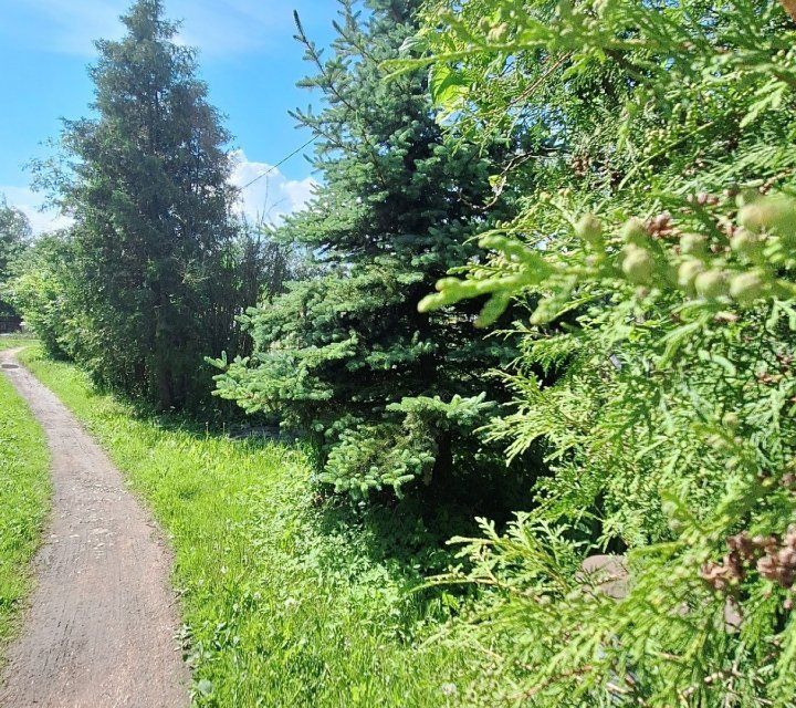 дом р-н Гатчинский д Мины ул Лесная Вырицкое городское поселение фото 4