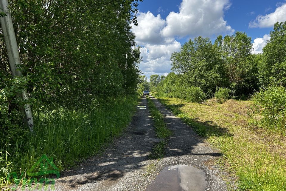 земля городской округ Раменский СНТ Яблоневая Усадьба фото 5