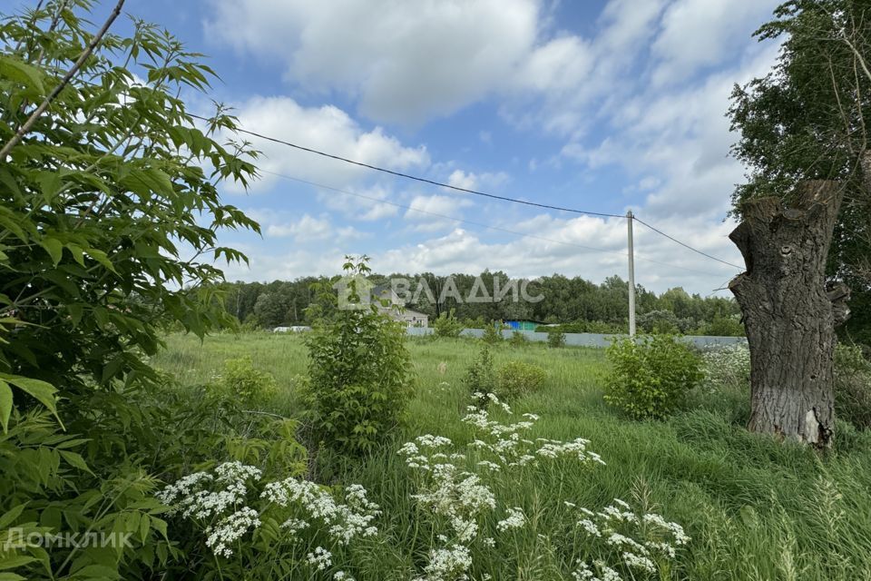 земля городской округ Коломенский с Непецино городской округ Коломна, 98 фото 8