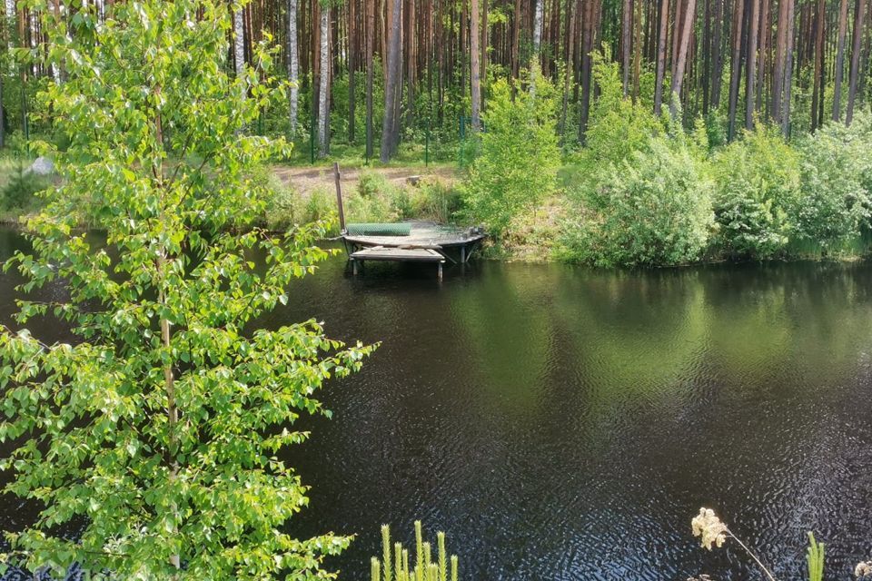 земля р-н Всеволожский Рахьинское городское поселение фото 5