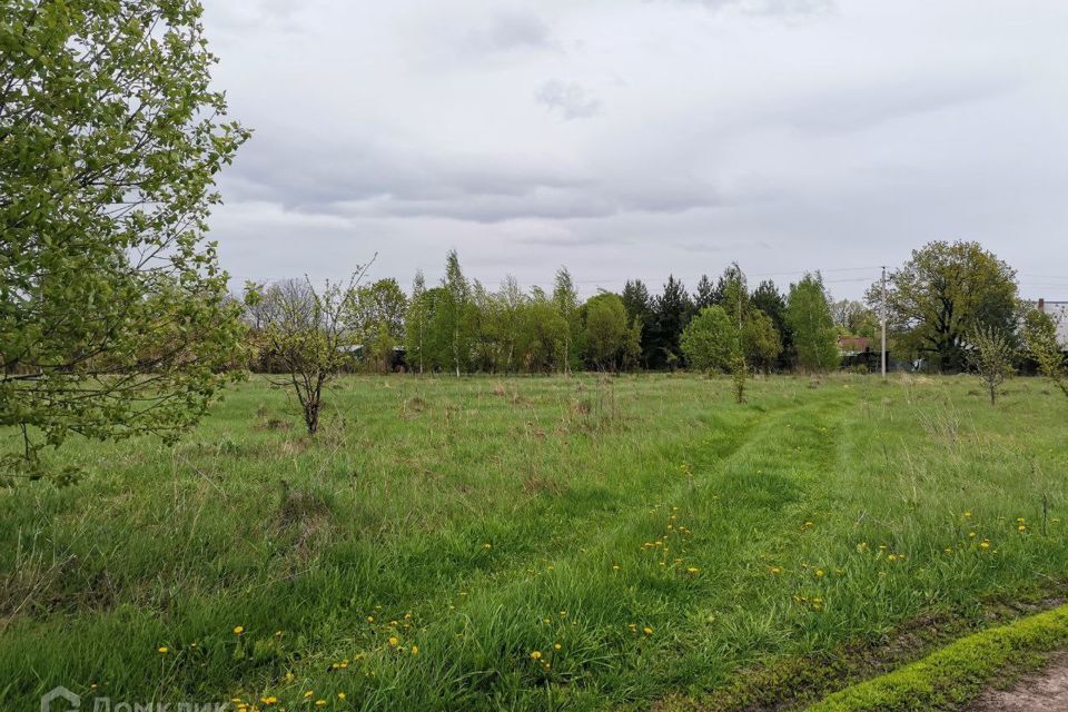 земля городской округ Серебряные Пруды деревня Толстые фото 5