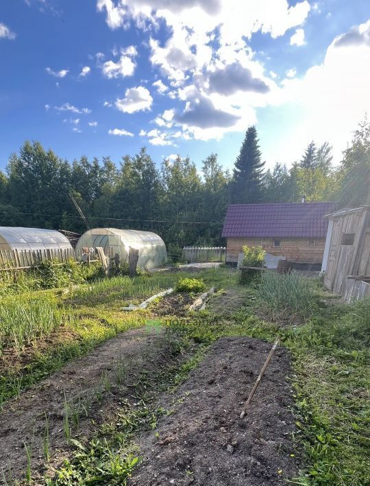 дом р-н Муезерский п Северный Кондопожское городское поселение, СОТ фото 27