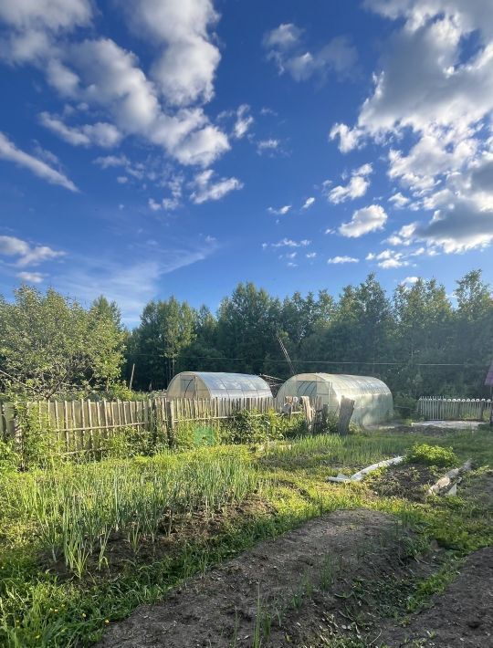 дом р-н Муезерский п Северный Кондопожское городское поселение, СОТ фото 33