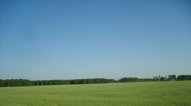 земля г Новомосковск ул Северодонецкая 4/1 фото