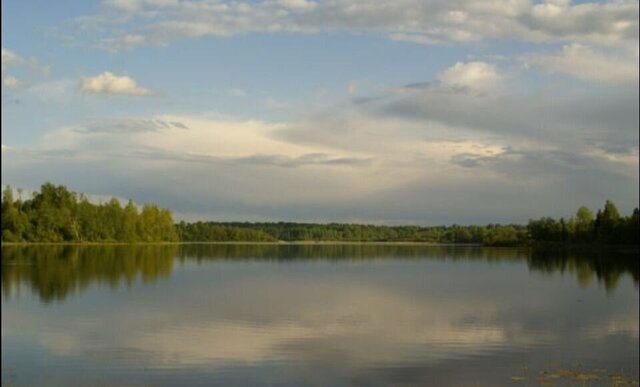 д Давыдовщина Крестцы фото