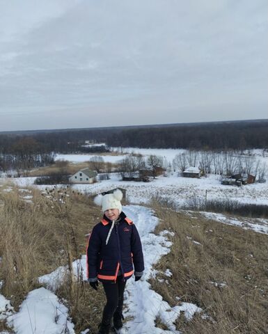 земля с Коршево Коршевское сельское поселение, Бобров фото