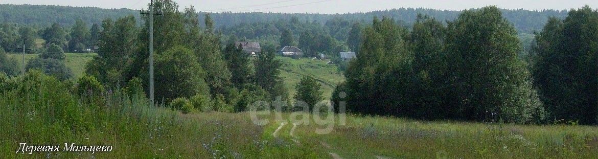 дом р-н Череповецкий д Мальцево муниципальное образование, Воскресенское фото 10