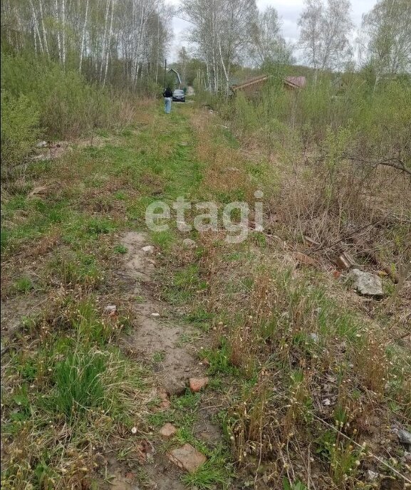 земля г Новосибирск р-н Дзержинский Берёзовая роща снт тер.Золотая Горка фото 4