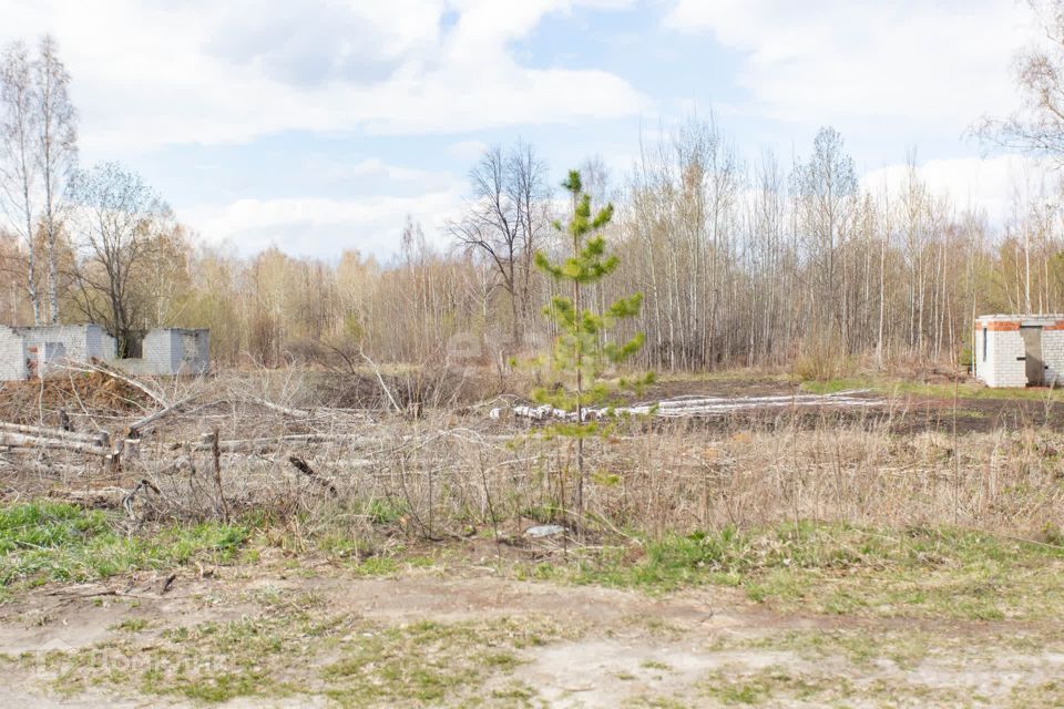 земля г Тобольск садоводческое товарищество Южанка, городской округ Тобольск фото 7