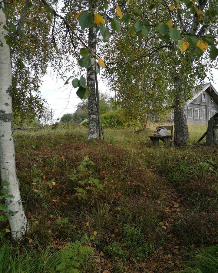 земля р-н Пряжинский д Сыссойла Ведлозерское сельское поселение, Пряжа фото 5