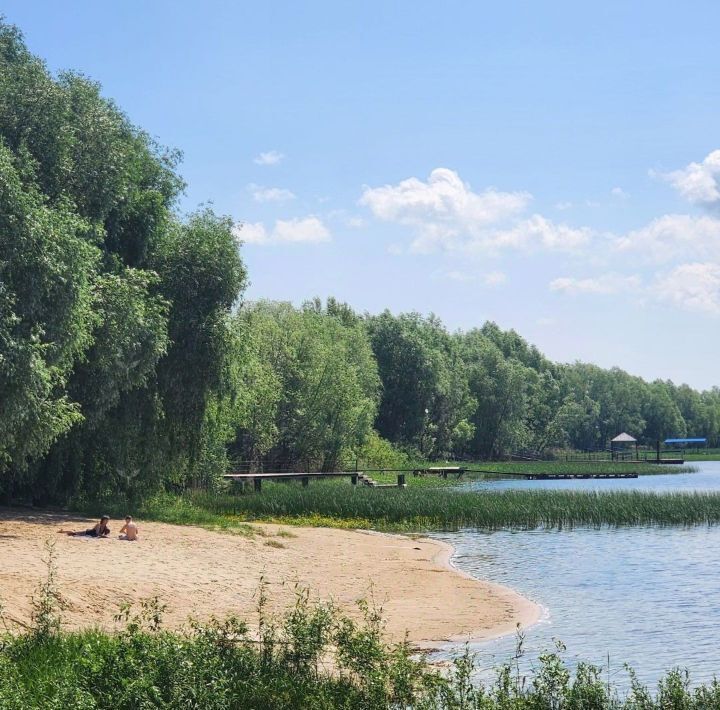 земля р-н Лаишевский Нармонское с/пос, Тетеево Луч садовое товарищество, Проспект Победы фото 9