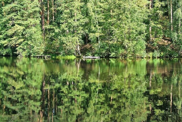 р-н Ржаксинский п Тамбовский Новолядинский поссовет фото