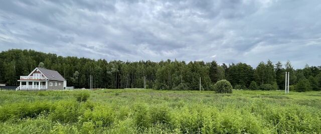 земля Ипподром, Раменский городской округ фото