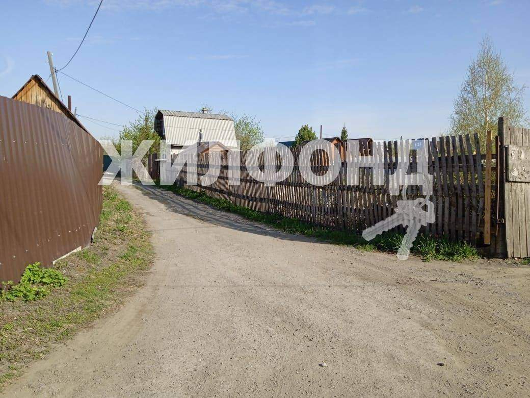 земля г Новосибирск р-н Центральный Студенческая, Тополь территория снт фото 5