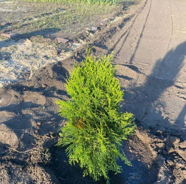 дом г Тюмень р-н Центральный снт Рябинка-2 ул Дачная фото 14