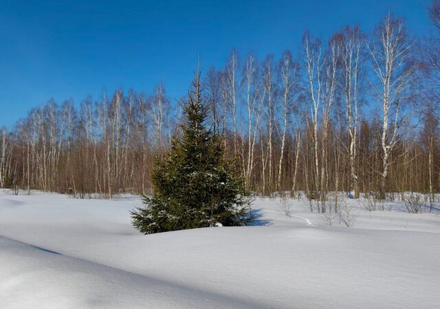 Богородский г. о фото